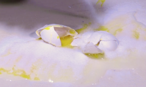 Screen Shot 2015-04-18 at 12.13.41